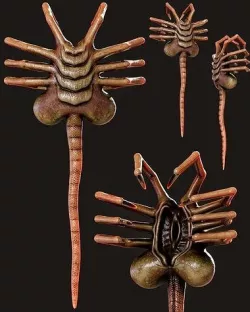 FaceHugger FanArt 3D model