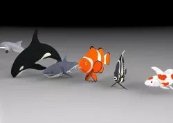 Fish shark koi carp dolphin killer whale clown fish and angel  3D model