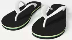Flip Flop 3D model