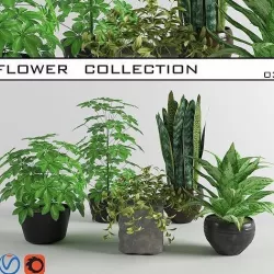 flower collections  3D model