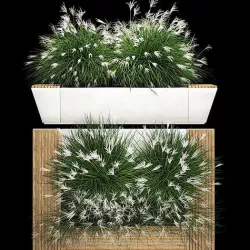 Flowerbed Bench With Bushes Feather Grass 1136 3D model