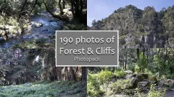Forest and Cliffs 3D model