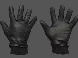 Gloves 3D model