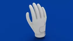 Golf Glove 3D model