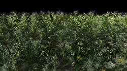 grass archive 3D model