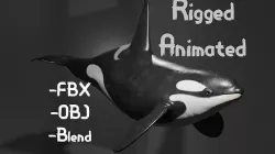 Killer Whale Orca Animated Low-poly 3D model