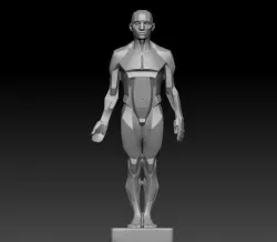 planes of the body Low-poly 3D model