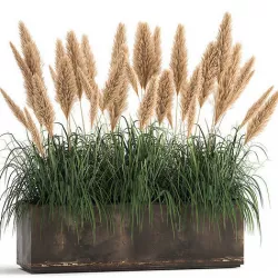 Reeds in a rusty flower pot for the interior 932 3D model