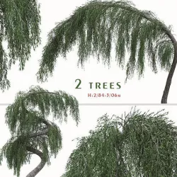 Set of Larix Kaempferi Pendula Pomegranate Tree - 2 Trees 3D model