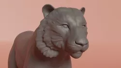 Stylized Tiger Standing 3D model