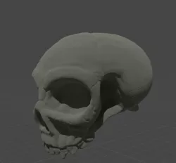 Vampire Skull 