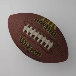 Wilson NFL Football 3D model