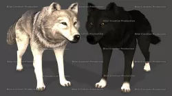 WOLF ANIMATED Low-poly 3D model