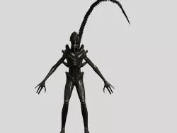  Xenomorph Alien Warrior 3D model