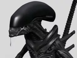 Xenomorph Aliens Mega Pack 3D model