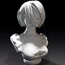 2B Bust 3D model