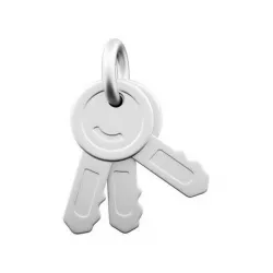 3D Door keys 3D model