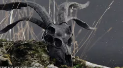 demon goat skull black 3D model