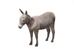 Donkey 3D Print Model - Game Ready  Low-poly 3D model