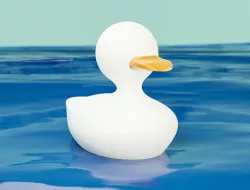 Duck