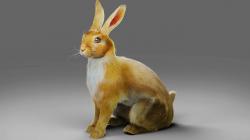 blender rabbit rig 3D Models | Page 1 | STLFinder