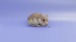 Hamster 3D animated model 3D model
