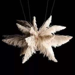 Hanging Bouquet Of Dry Reeds For Decoration 271 3D model