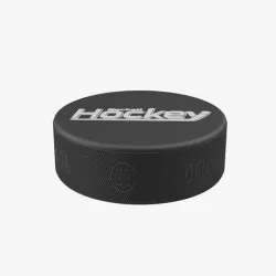 Hockey Puck 4 3D model