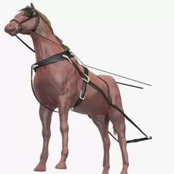horse for a carriage model 3D model