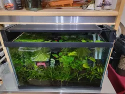 Hygger LED aquarium tank risers or lift