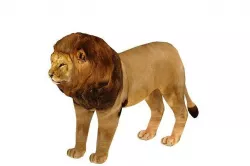 Lion 3D Model Game Ready Low-poly 3D model