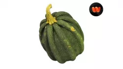 Mogango Winter Squash - Extreme Definition Scanned 3D model