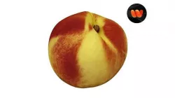 Nectarine - Extreme Definition 3D Scanned 3D model