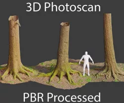 PBR Oak Tree Big Forest Scan Trunk Pack Low-poly 3D model