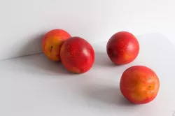 Plum 008 3D model