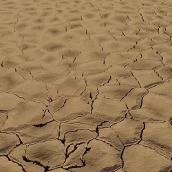 Procedural PBR Dry Desert Cracked Ground Material Texture Texture