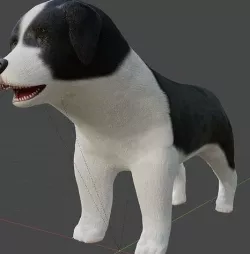 RIGGED PUPPY MODEL BORDER COOLIE 3D model
