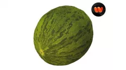 Santa Claus Melon - Extreme Definition Scanned 3D model