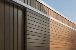 Siberian Larch glossy texture Texture