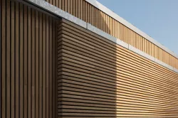 Siberian larch lamellas cladding texture Texture
