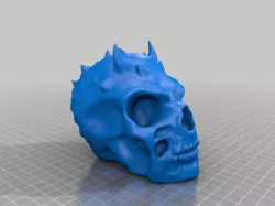 Skull