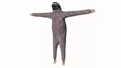 Sloth Low-poly 3D model
