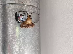 Sunglass Holder / Organizer - Albert Einstein