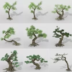 Tree 1 3D model