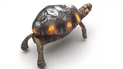 Turtle 3D model
