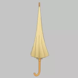 Umberlla 3D model