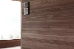 Waxed Walnut veneer texture Texture