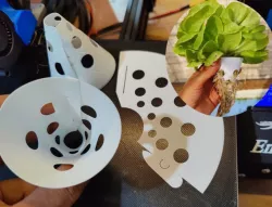 2" Hydroponic pot cone