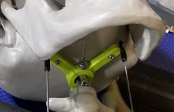 Animatronic Neck