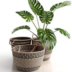Baskets with monstera leaves 3D model